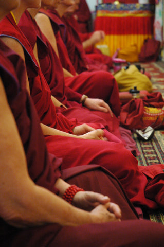 Donate to the Alliance of Non Himalayan Nuns